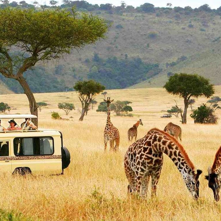 EVANSON GICHURU KIHIKA