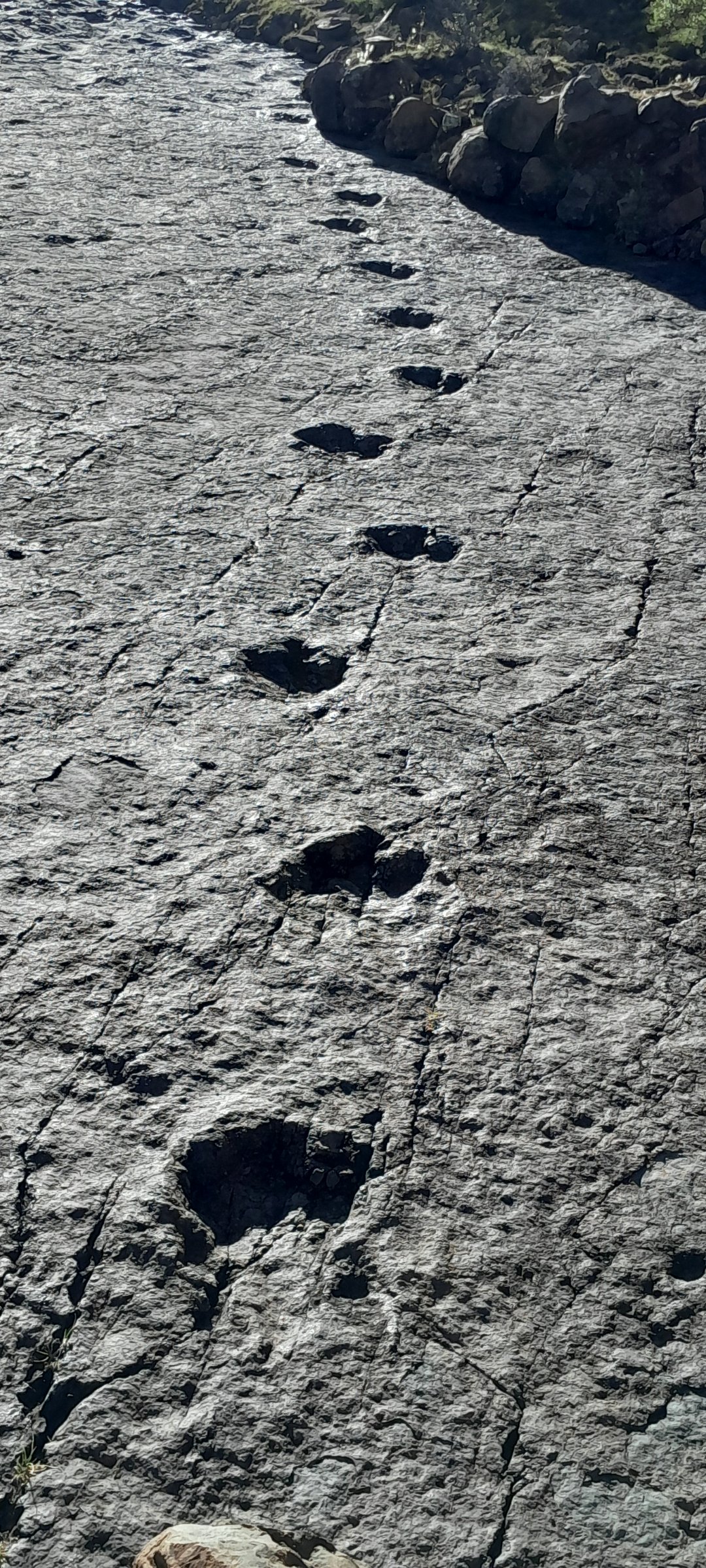 Goblin Tours Sucre Bolivia