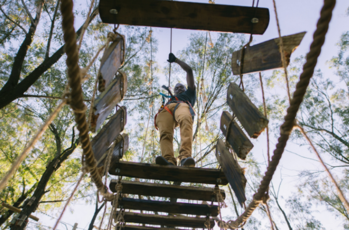Acrobranch Stellenbosch