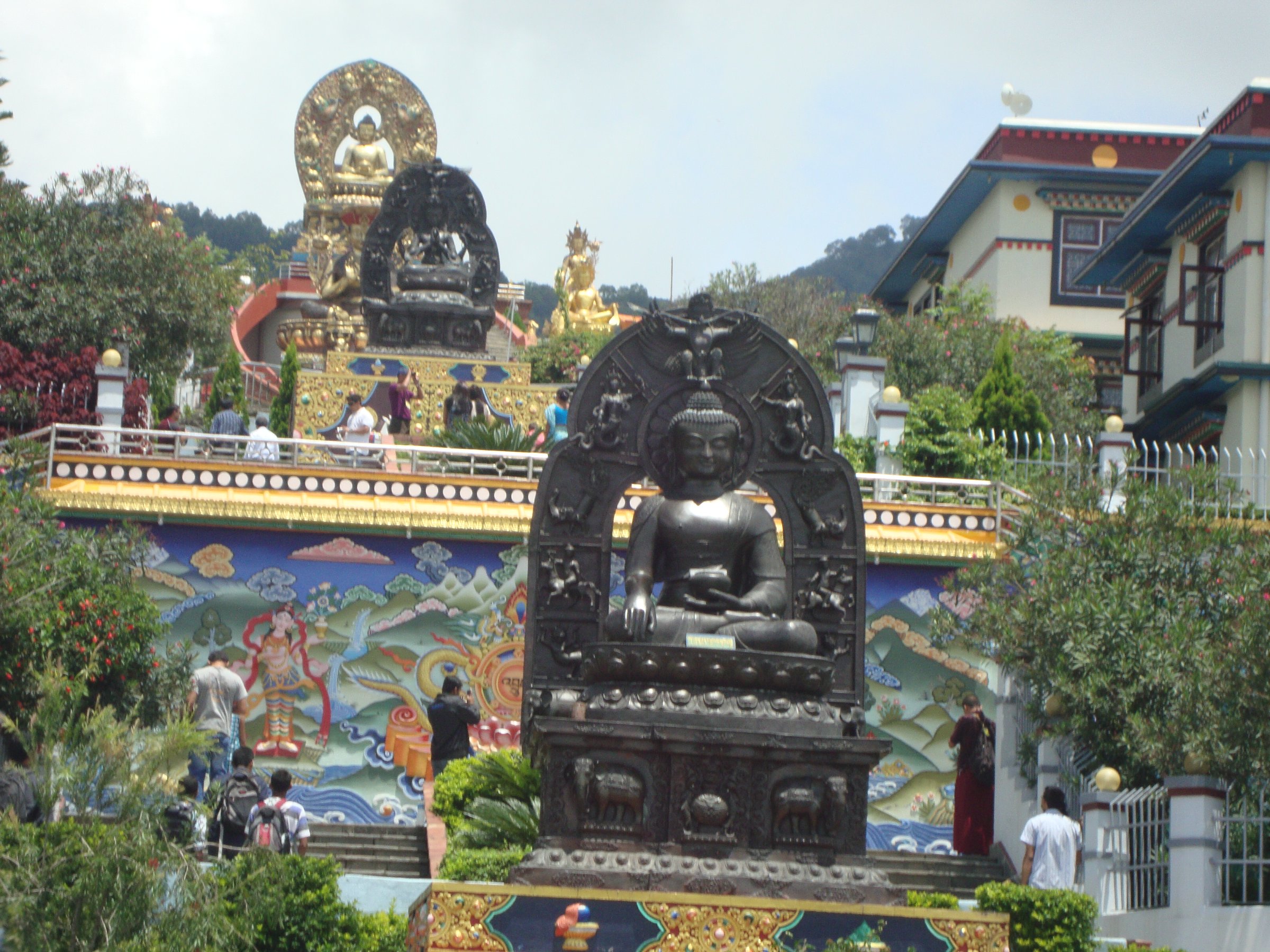 Kuncha Treks and Tours