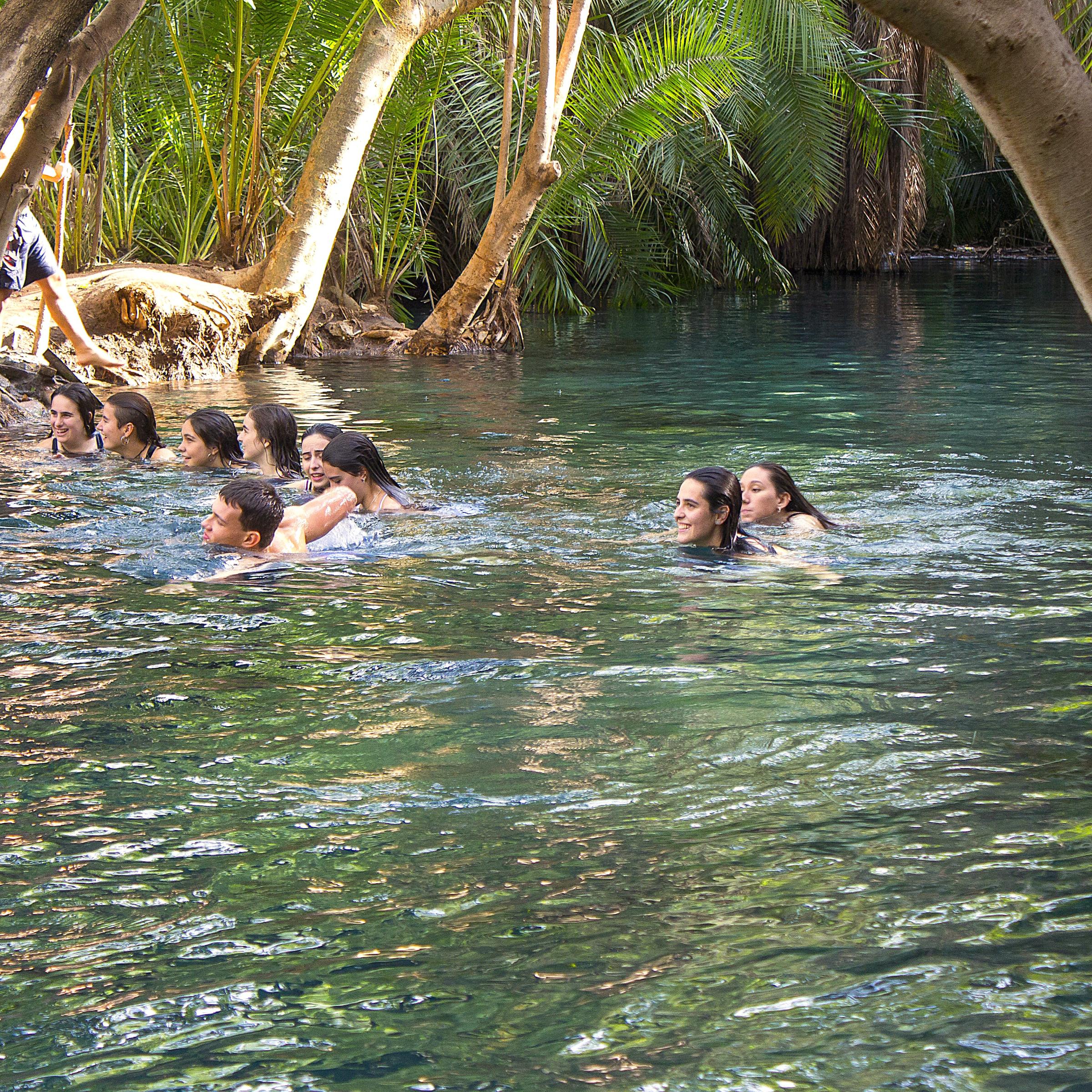 Golden Bamboo Tours