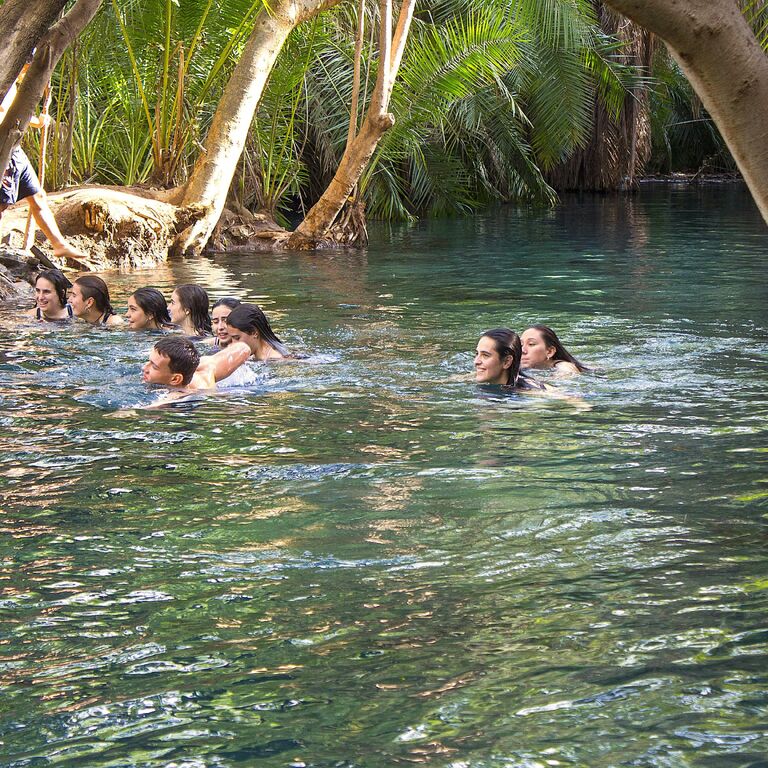Golden Bamboo Tours