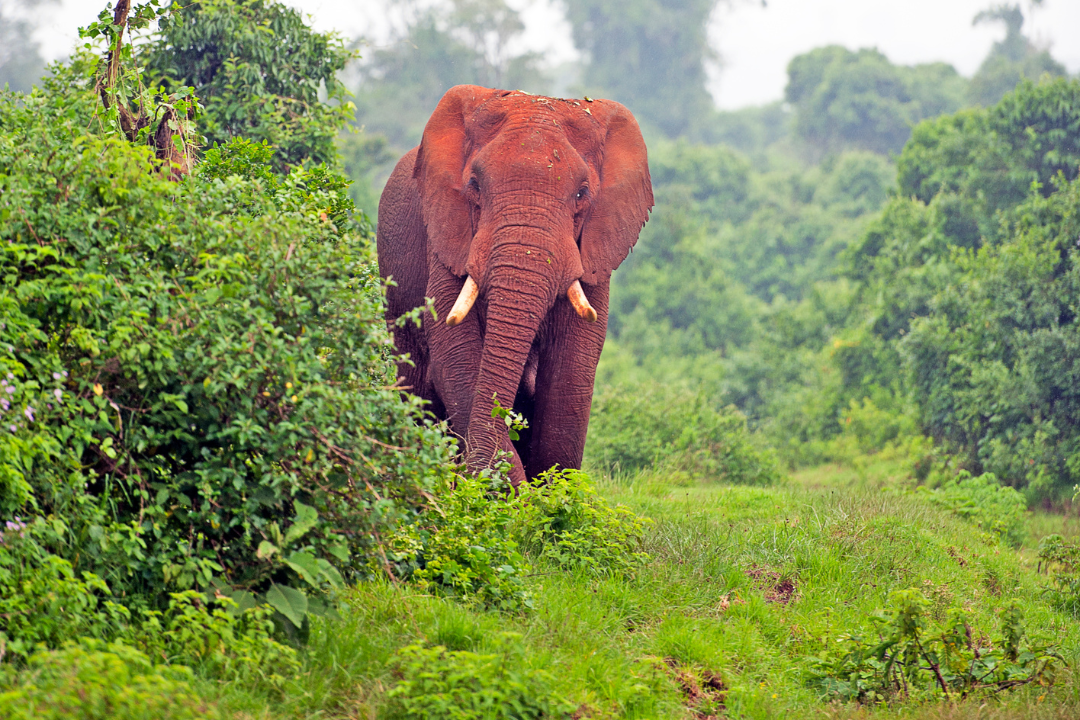 Destinations Vacation Holidays