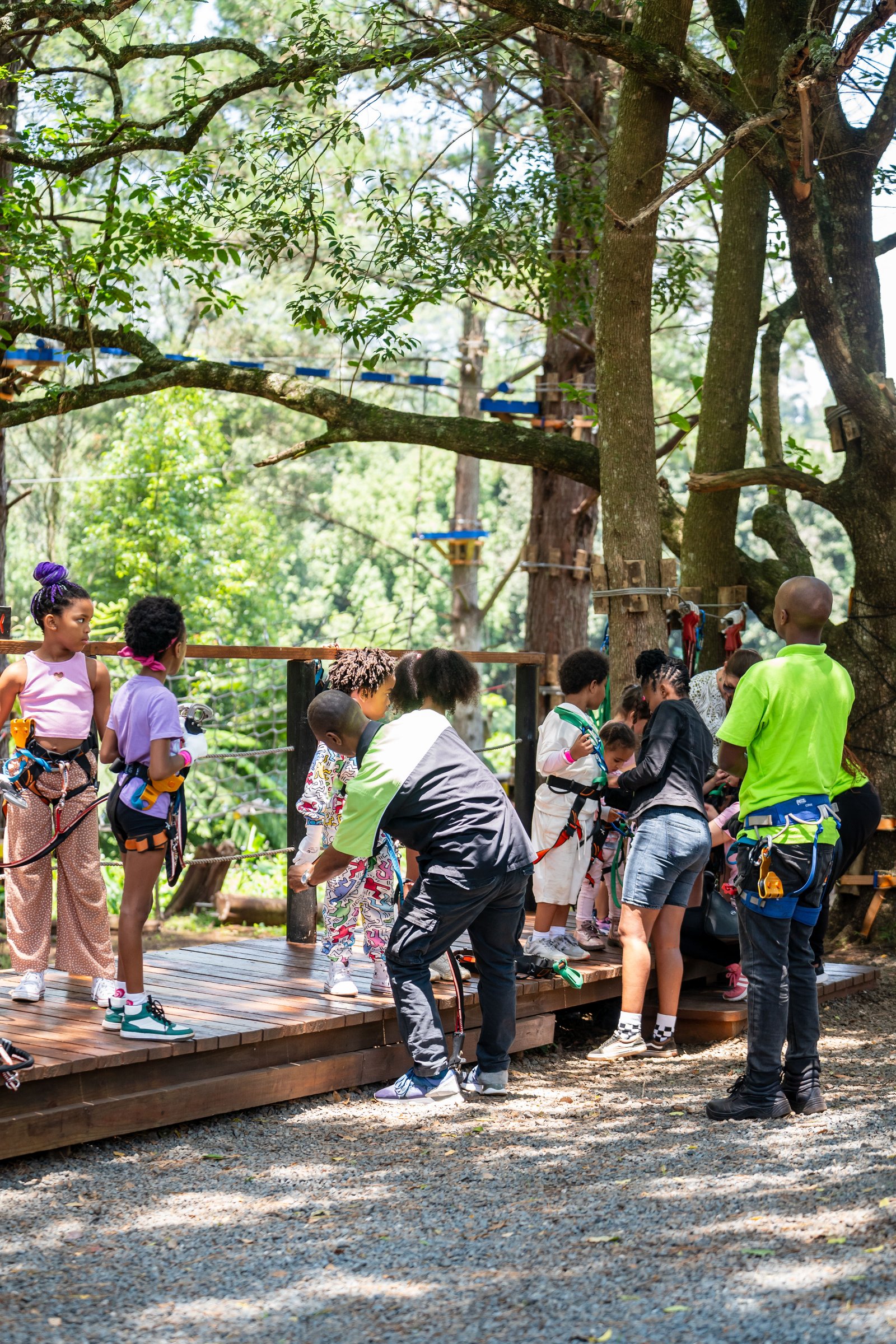 Acrobranch Hillcrest