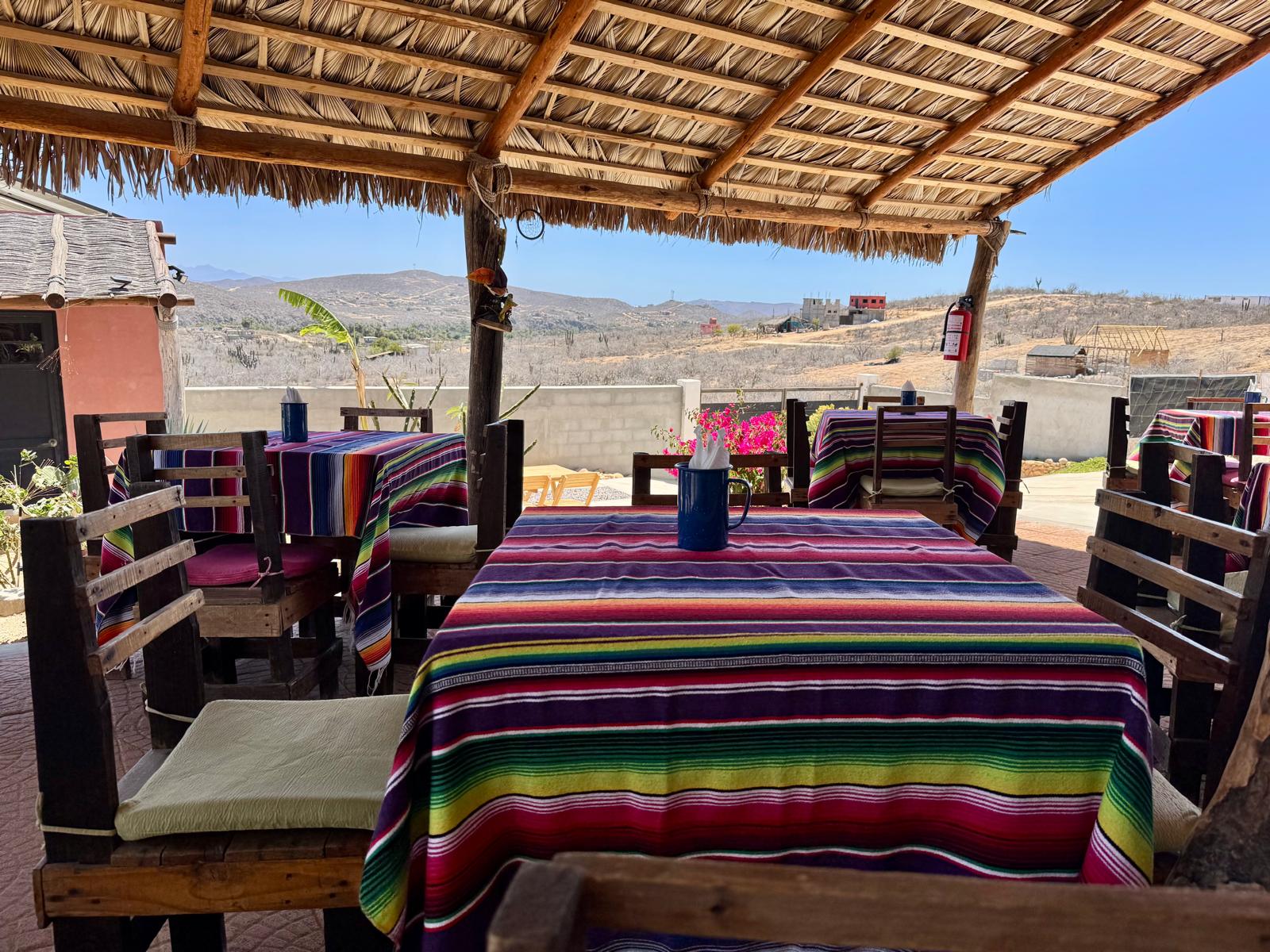 La Palapa del Sabor. T. S