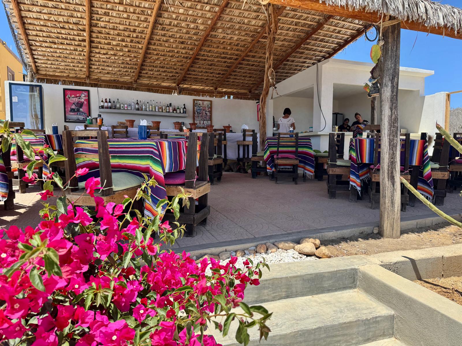 La Palapa del Sabor. T. S