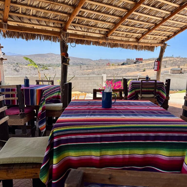 La Palapa del Sabor. T. S