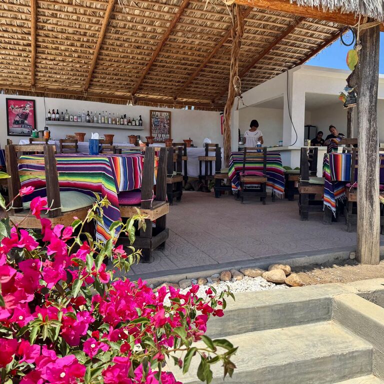 La Palapa del Sabor. T. S