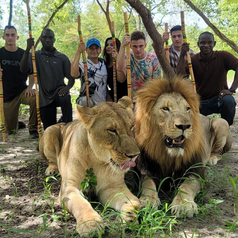 Alibaba Tours
