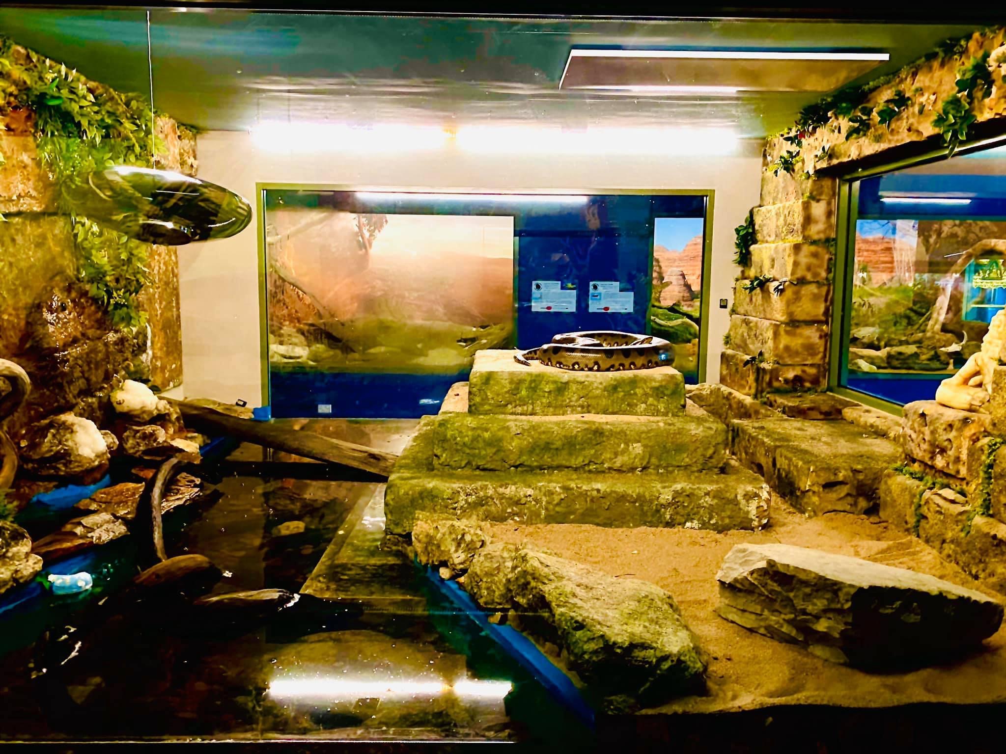 Serpentarium Wildlife Park Tas