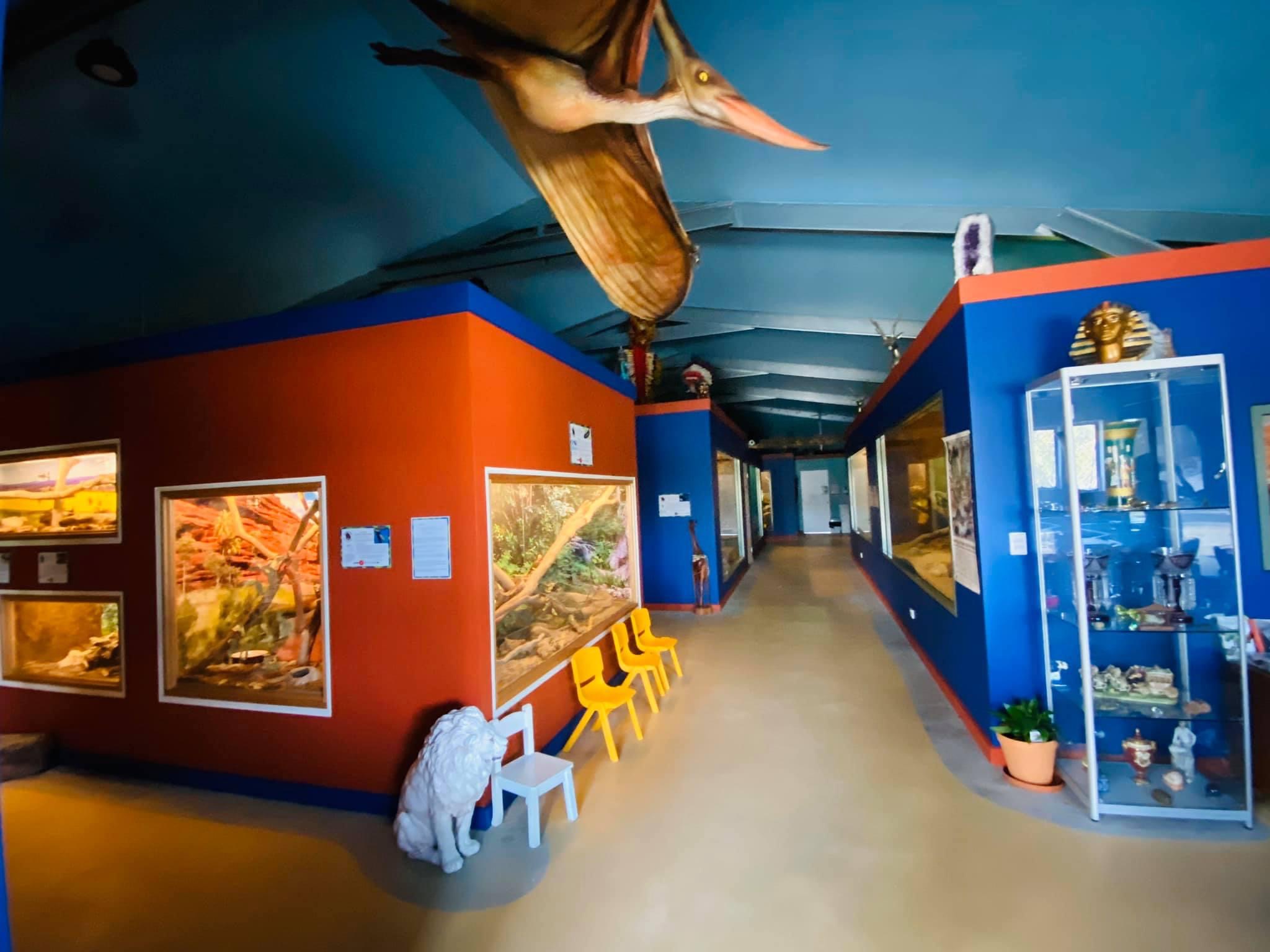 Serpentarium Wildlife Park Tas