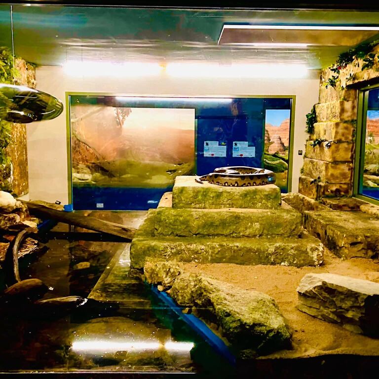 Serpentarium Wildlife Park Tas