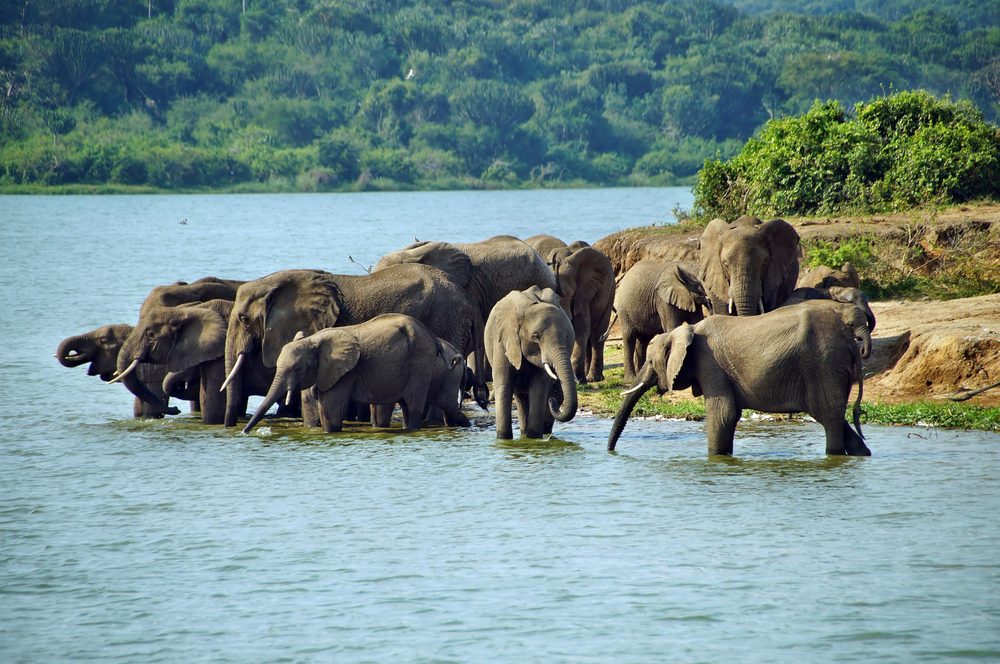 BUNYANGABU TOURS UGANDA SAFARI