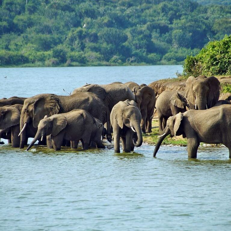 BUNYANGABU TOURS UGANDA SAFARI