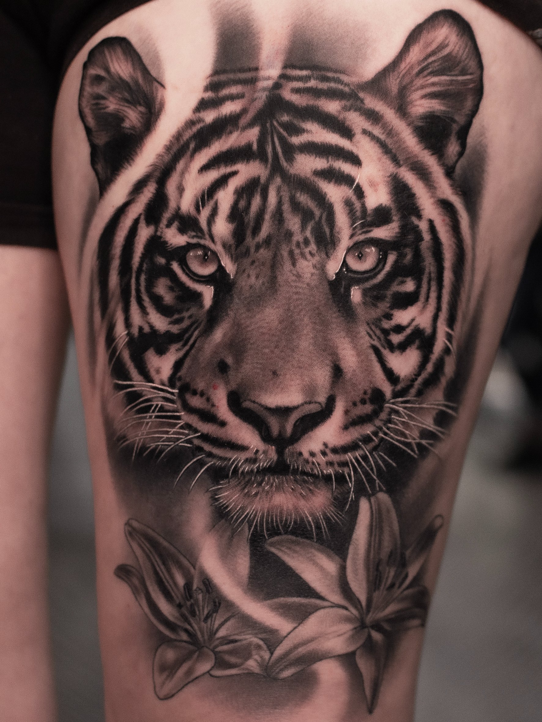 No Land Tattoo Parlour