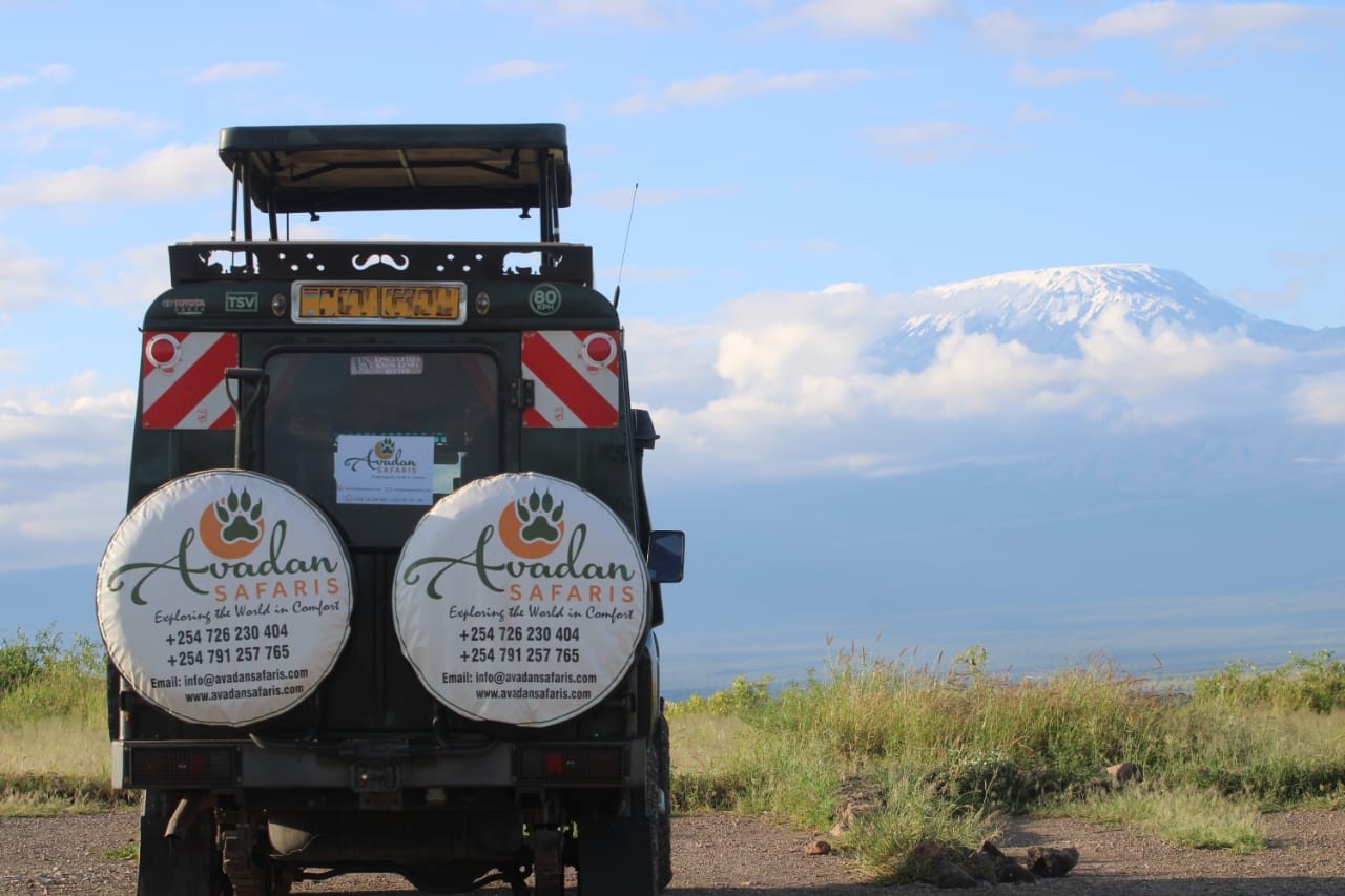 Avadan Safaris Limited