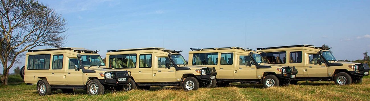 Kiliholidays Tours and Safaris