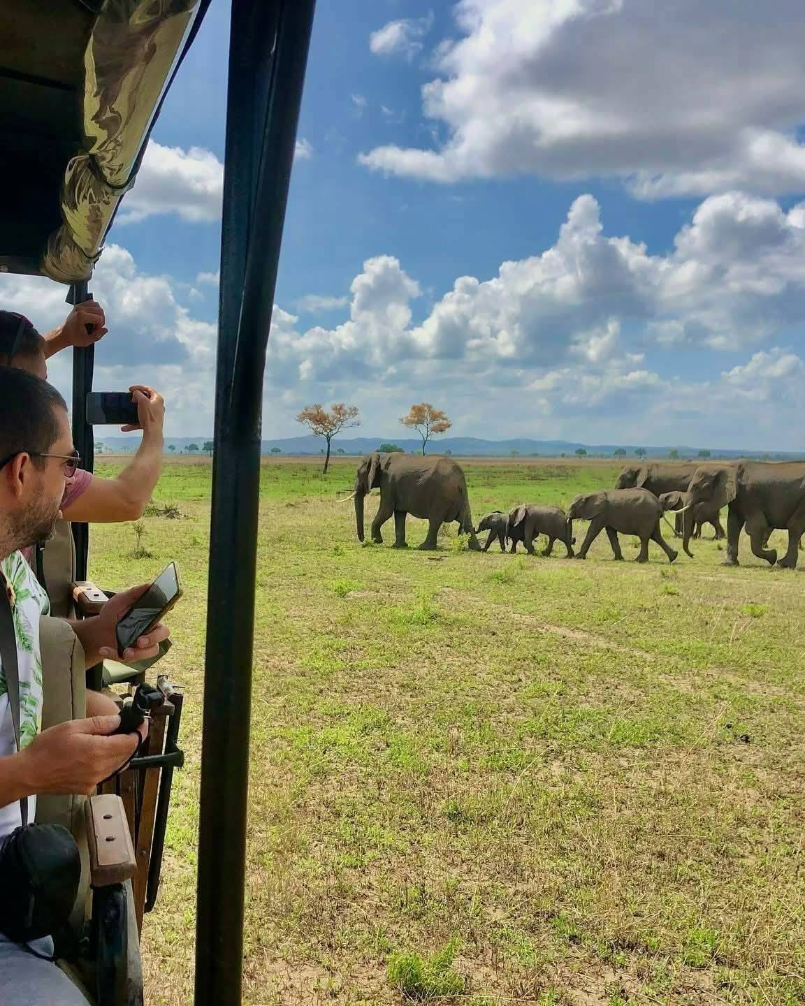 BOHOBE TRAVEL & TOURS