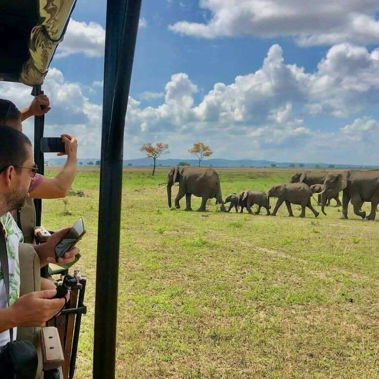 BOHOBE TRAVEL & TOURS