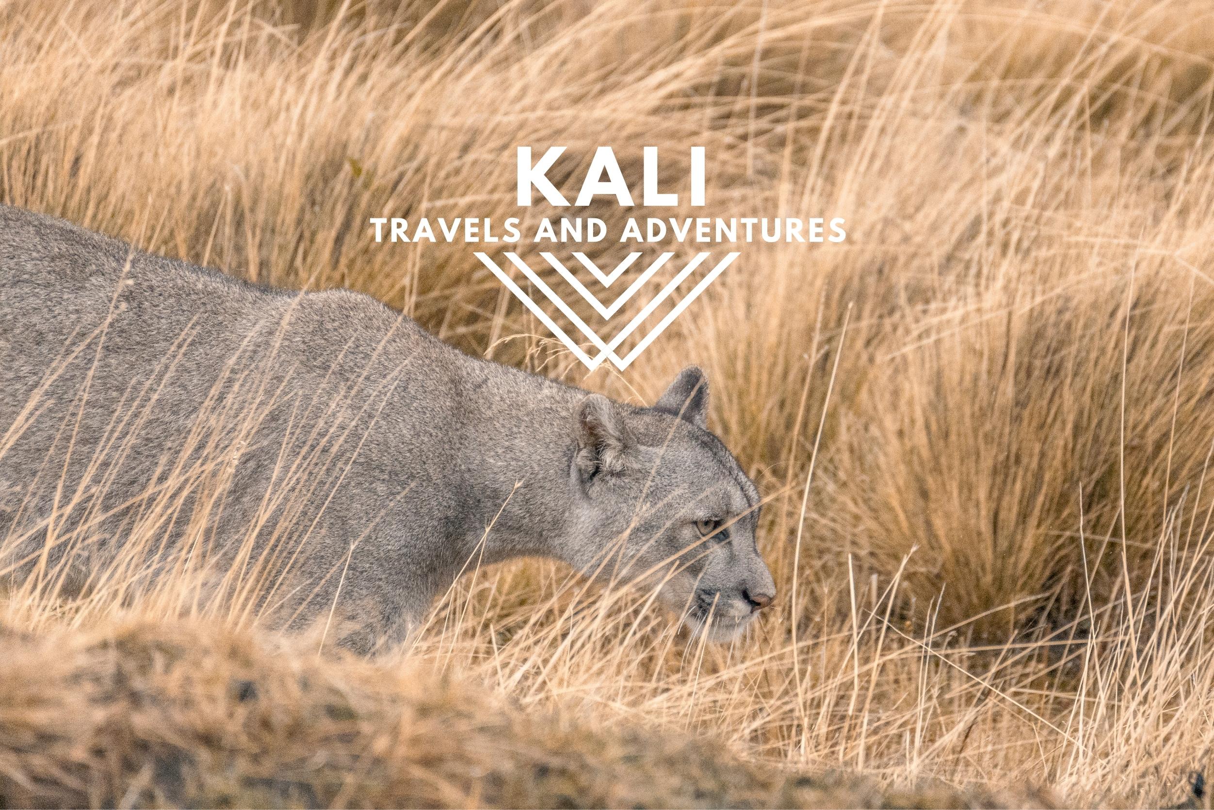 kali travels and adventures