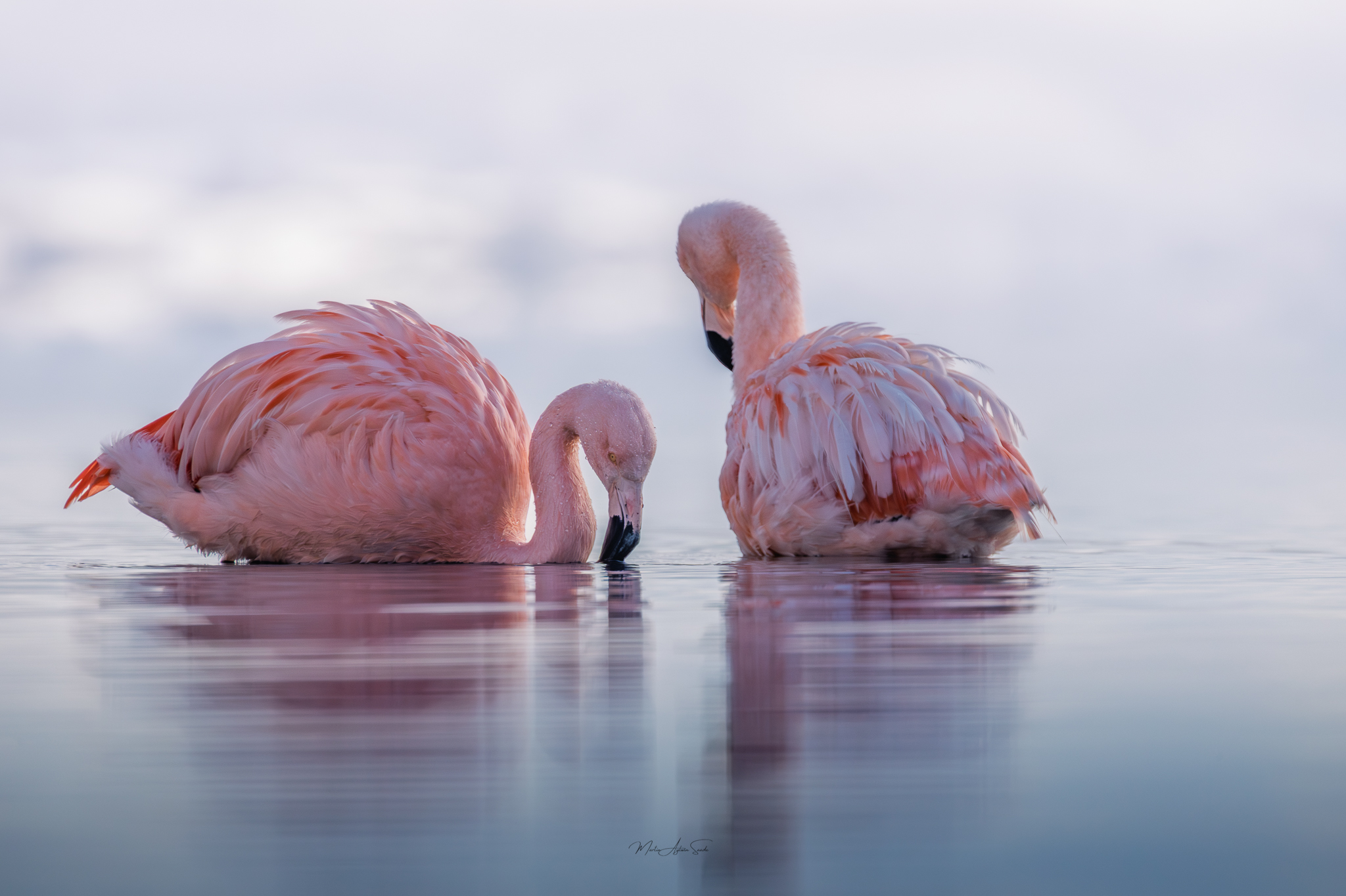 kali travels and adventures