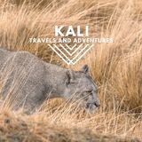 kali travels and adventures