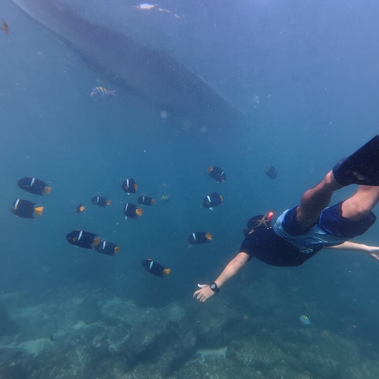 PuertoVallartaExperience