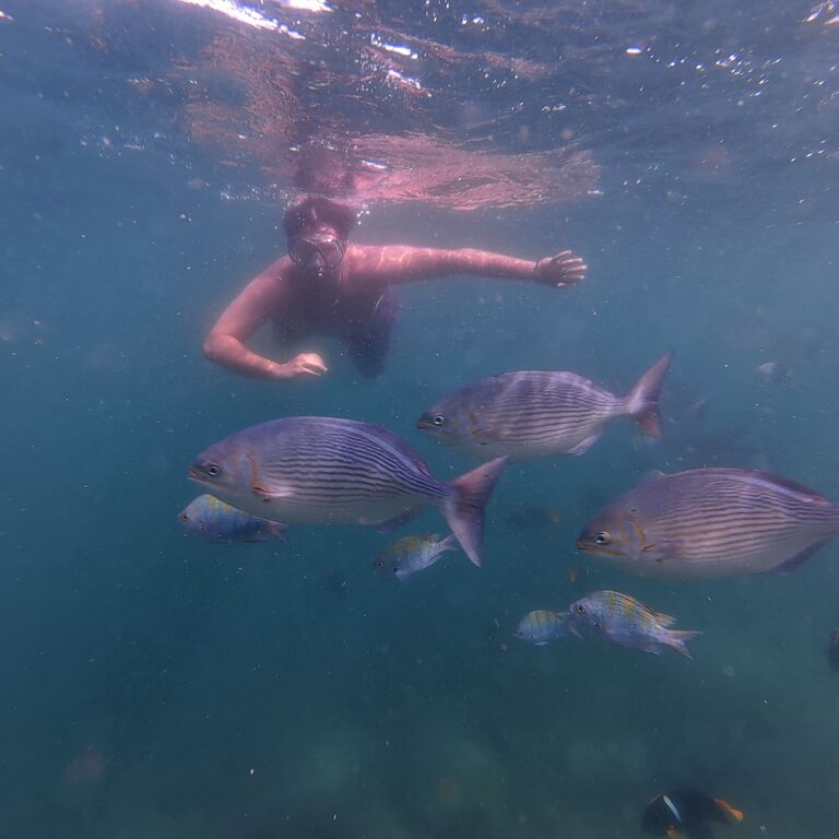 PuertoVallartaExperience