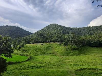 Gaurishanker organic home stay