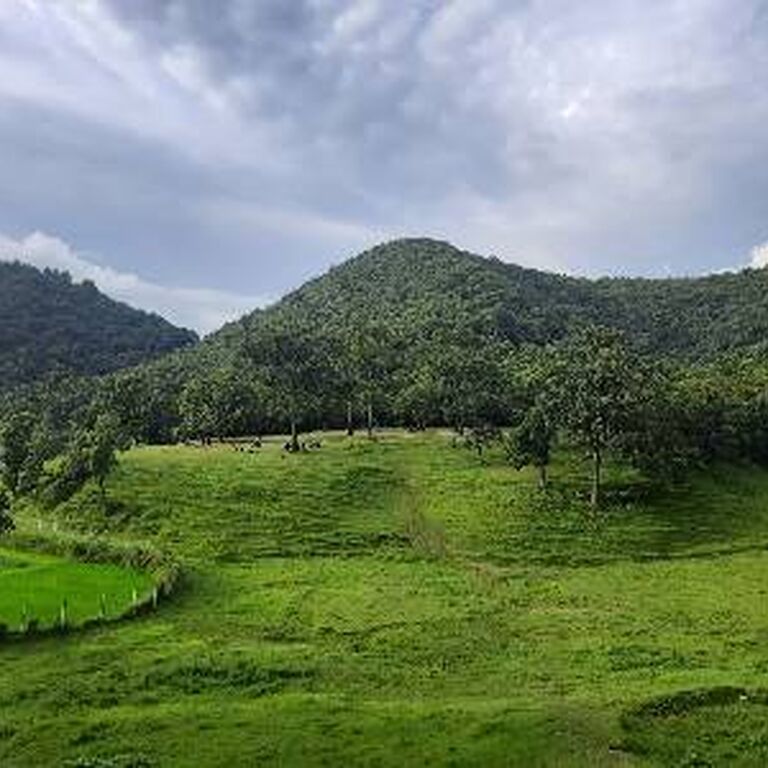 Gaurishanker organic home stay