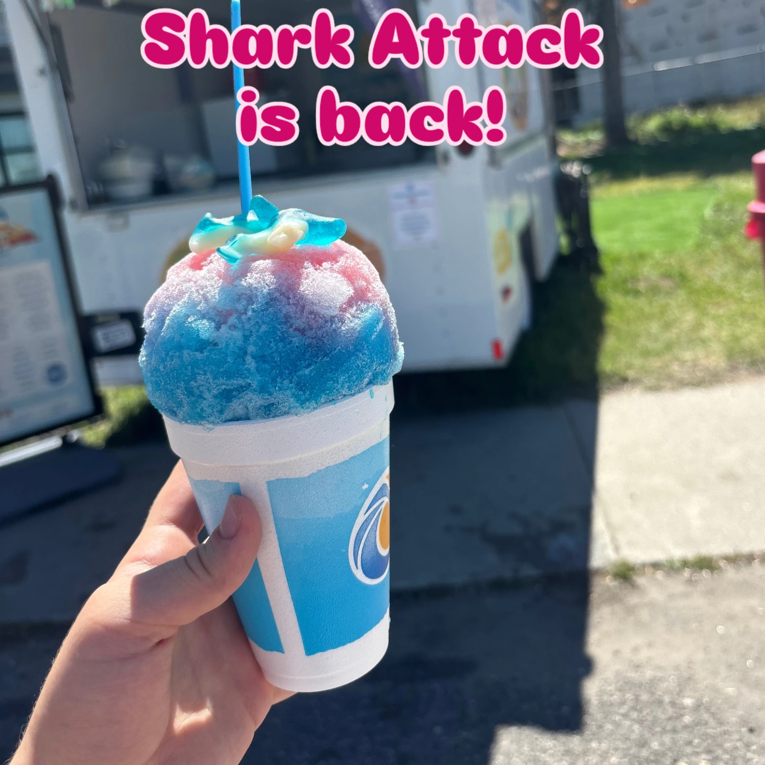 Tropical Sno Shave Ice