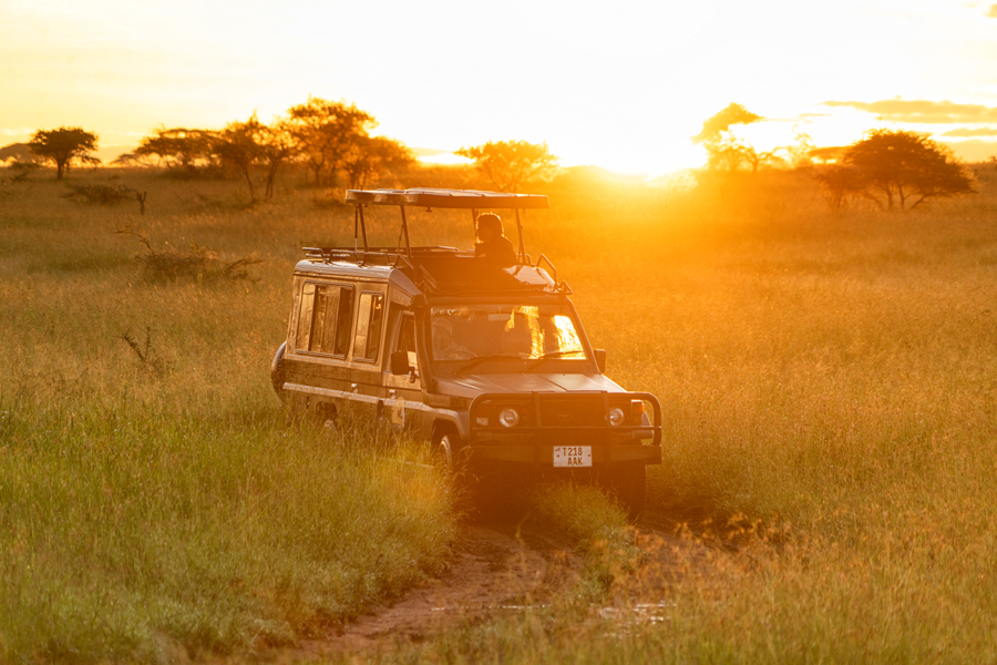 MATEA TOURS & SAFARIS