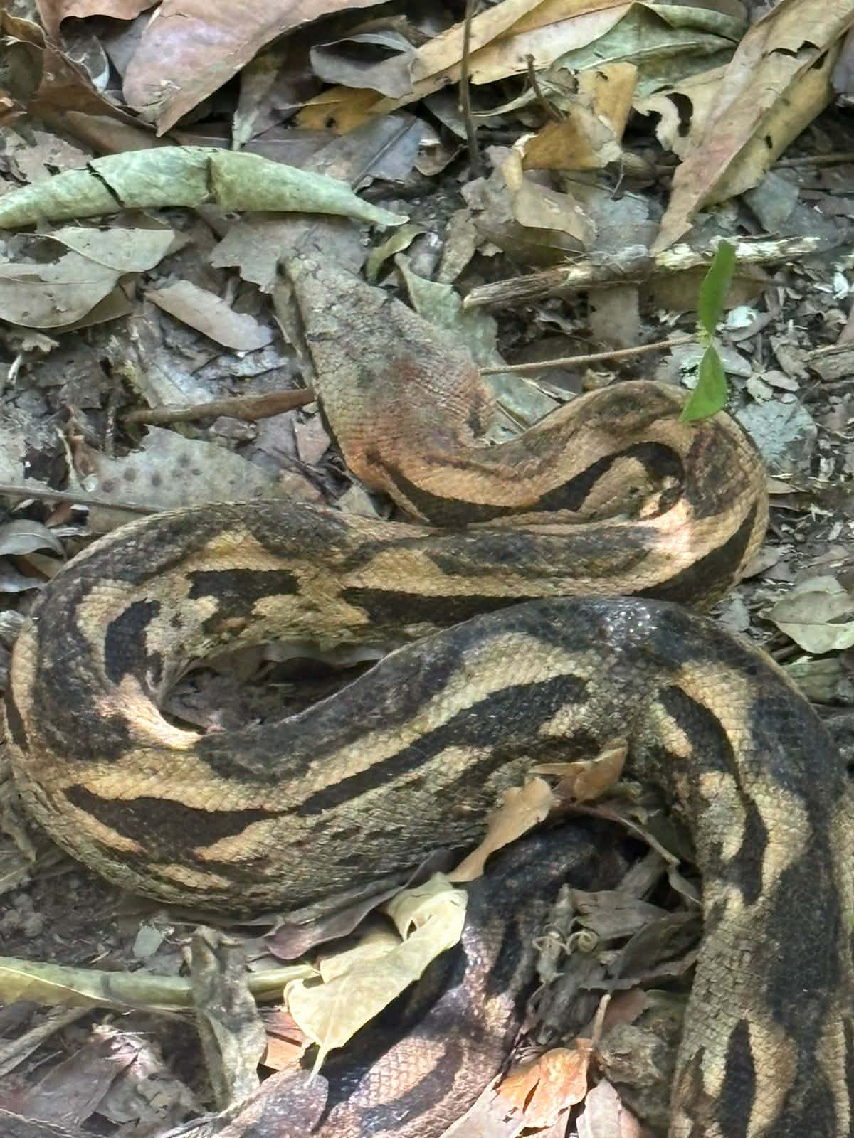 SUN MADA ISLAND TRAVEL