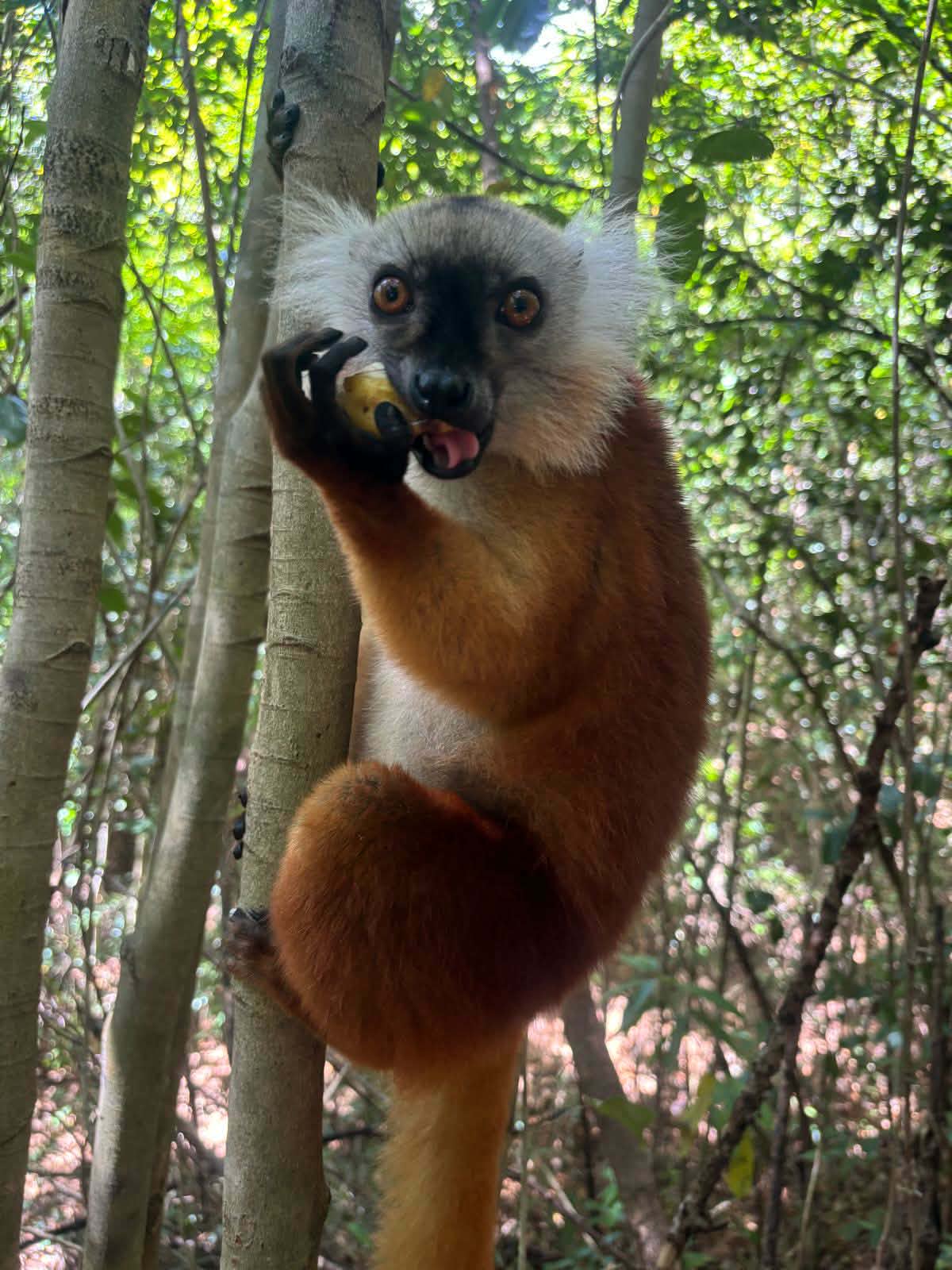 SUN MADA ISLAND TRAVEL