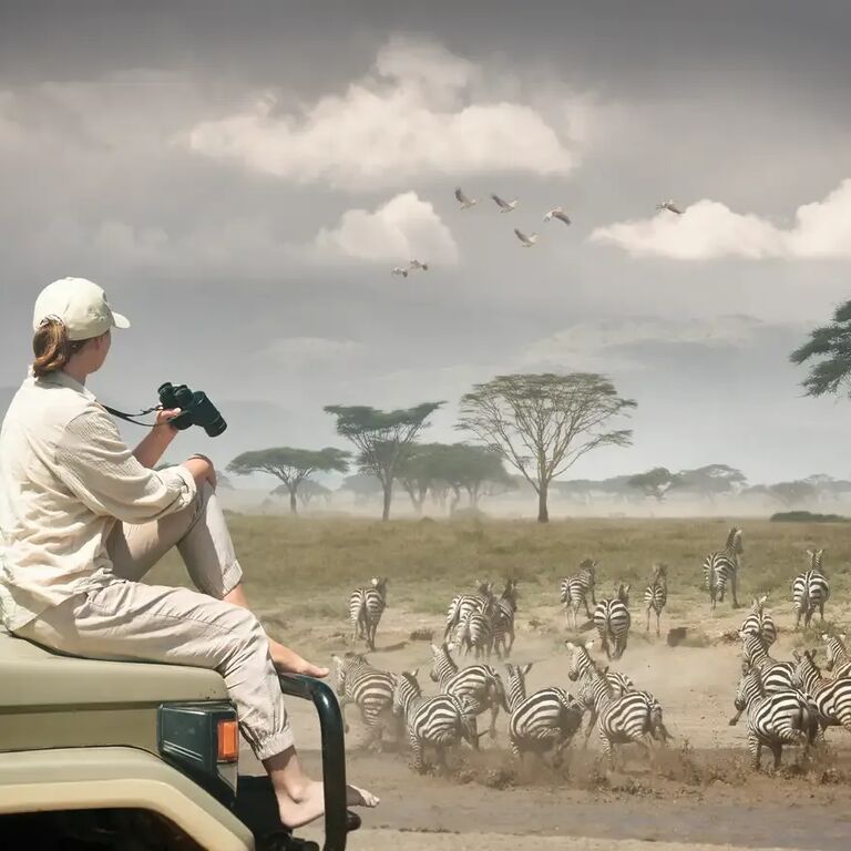 Alaitol Safaris