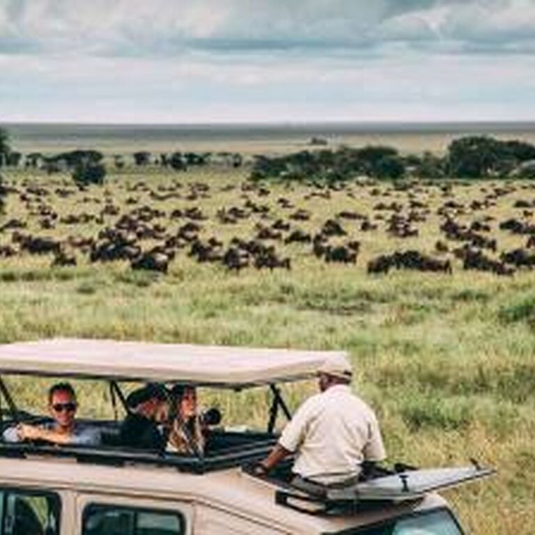 Alaitol Safaris