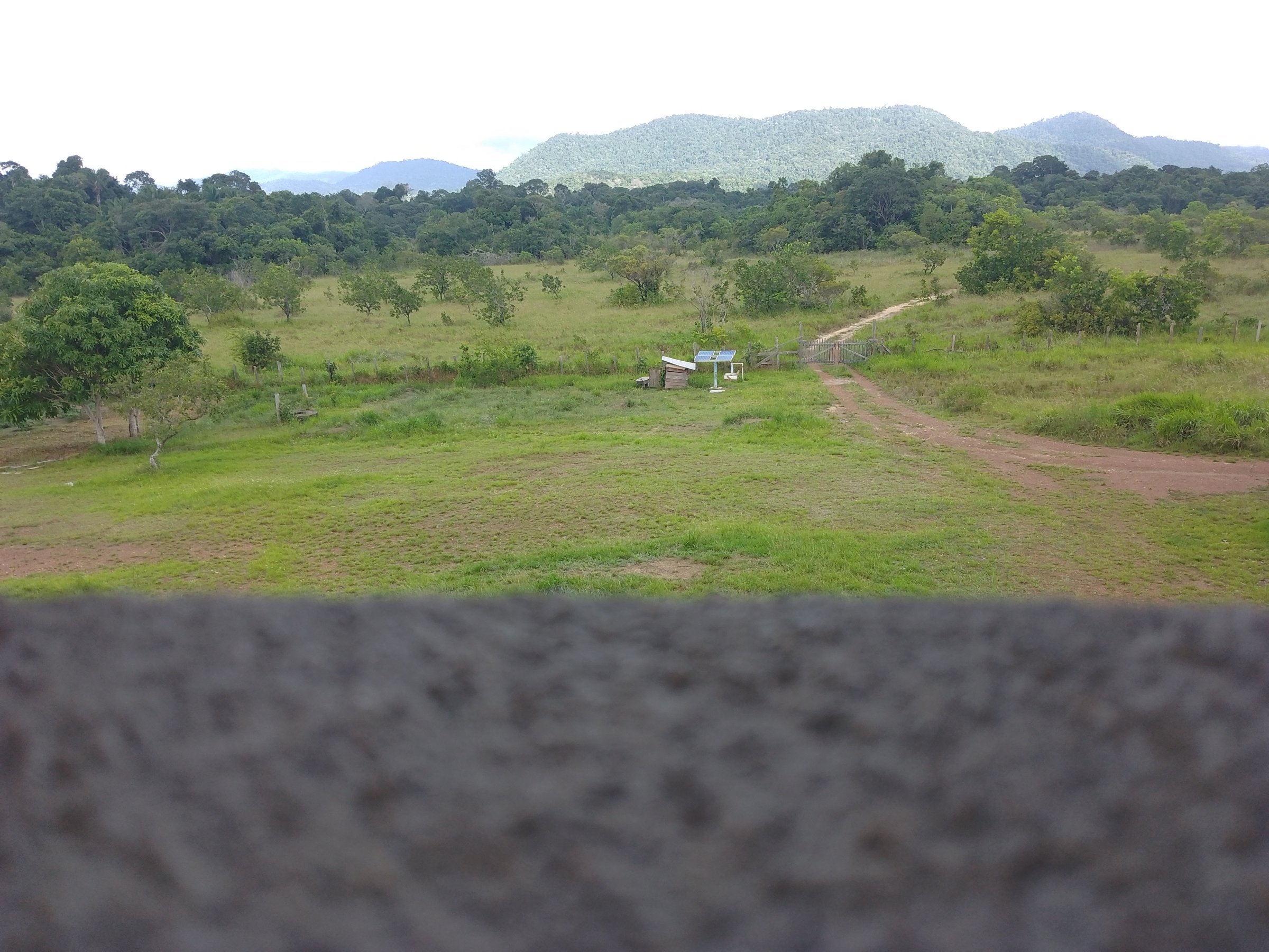 Traveling in the wilderness