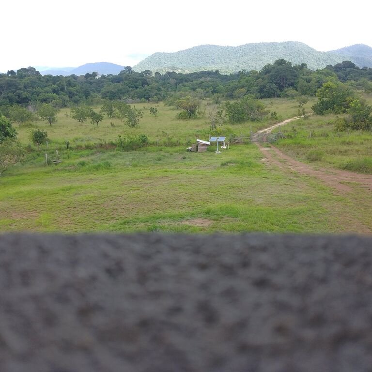 Traveling in the wilderness