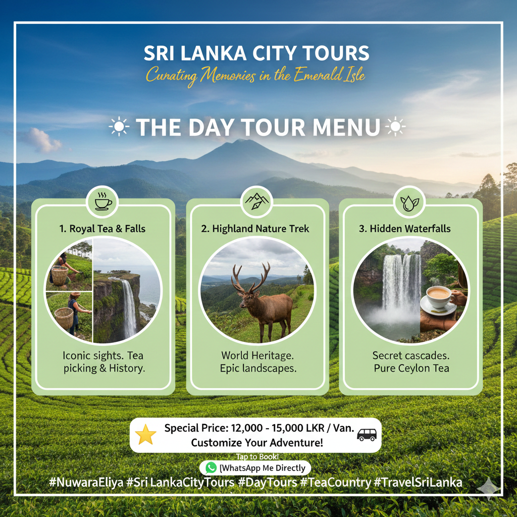 Srilanka City Tours