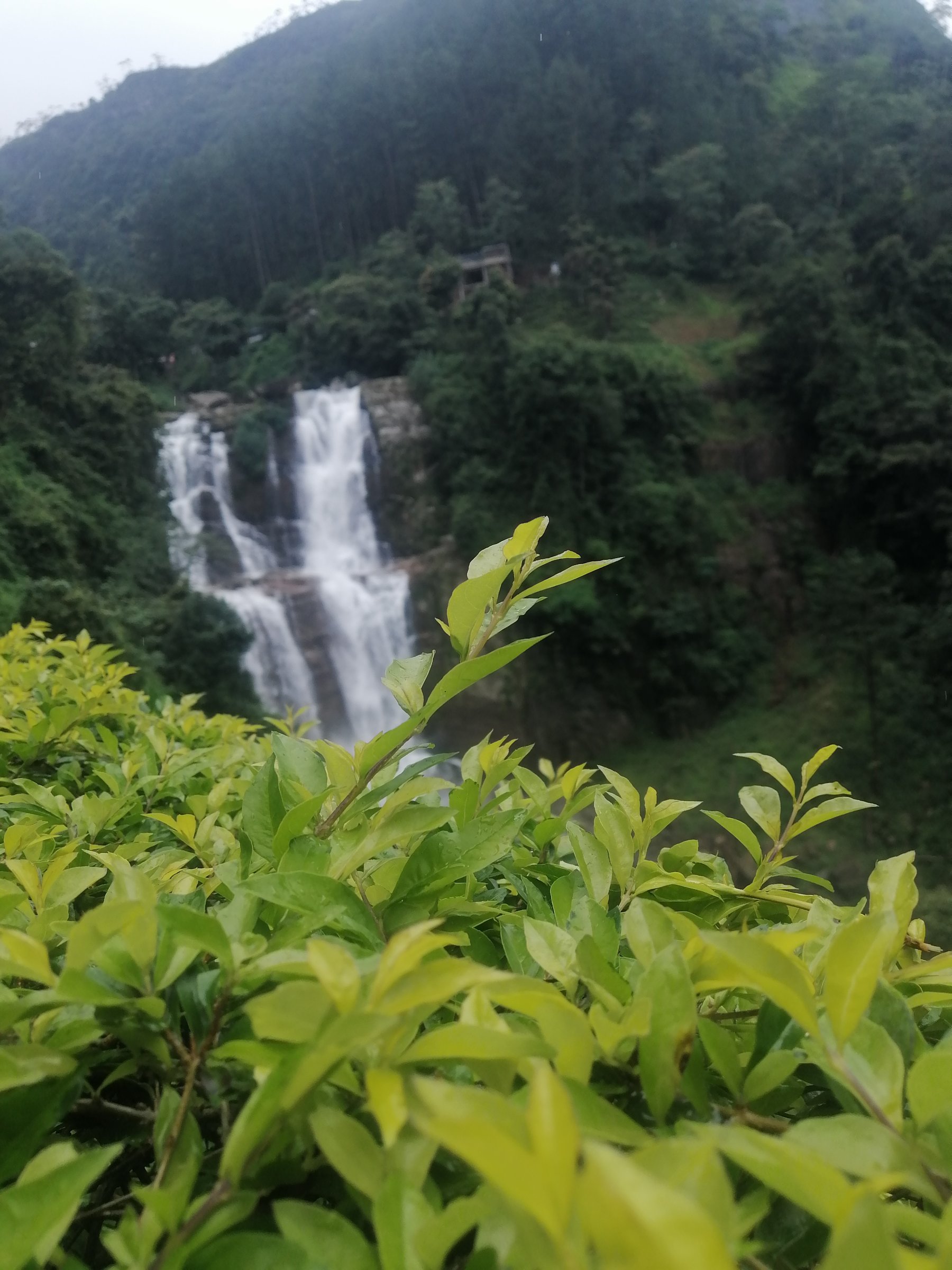 Srilanka City Tours