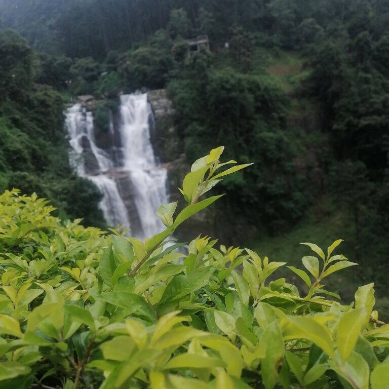 Srilanka City Tours
