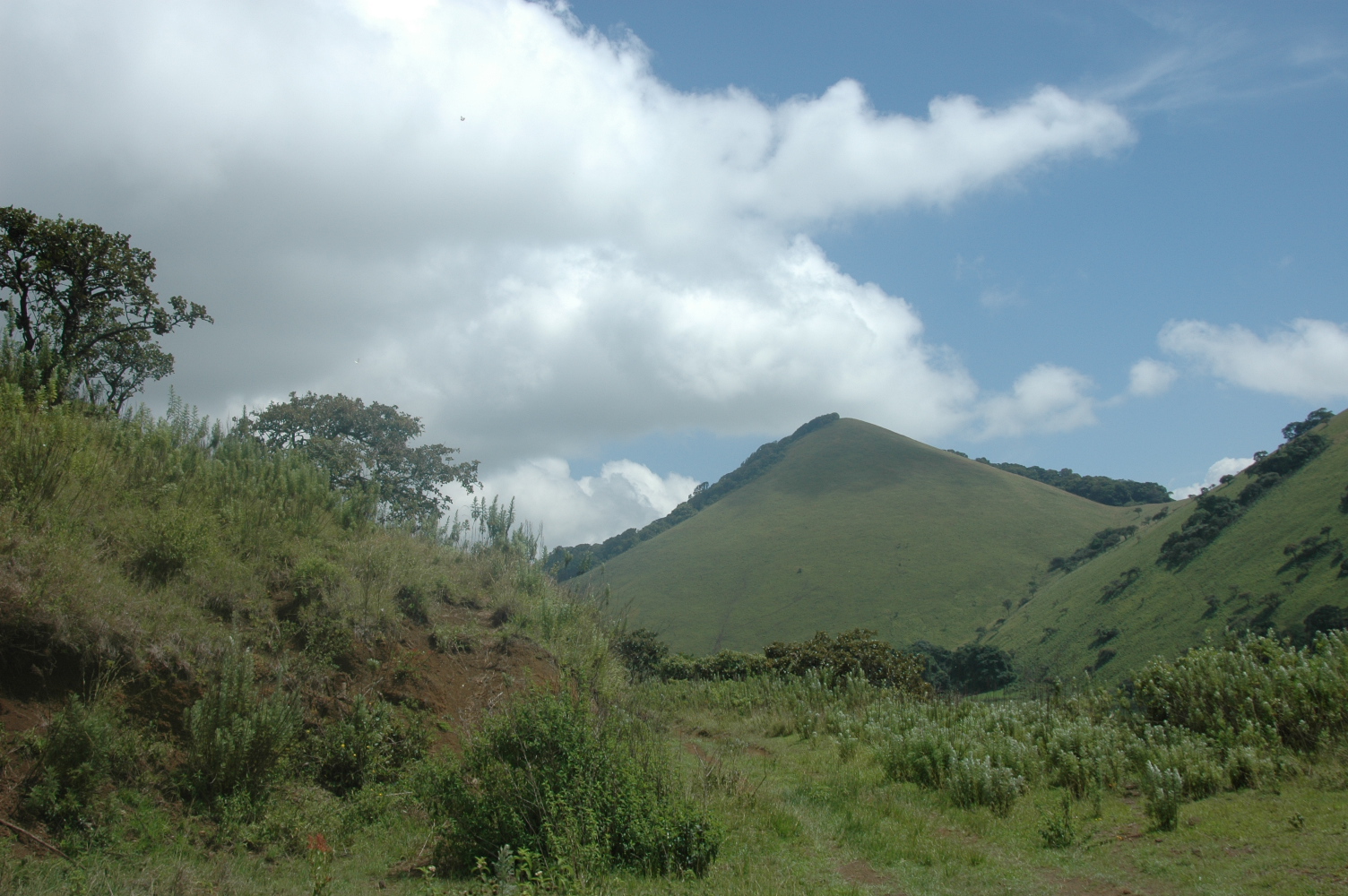 Bagaria Tours and Safaris