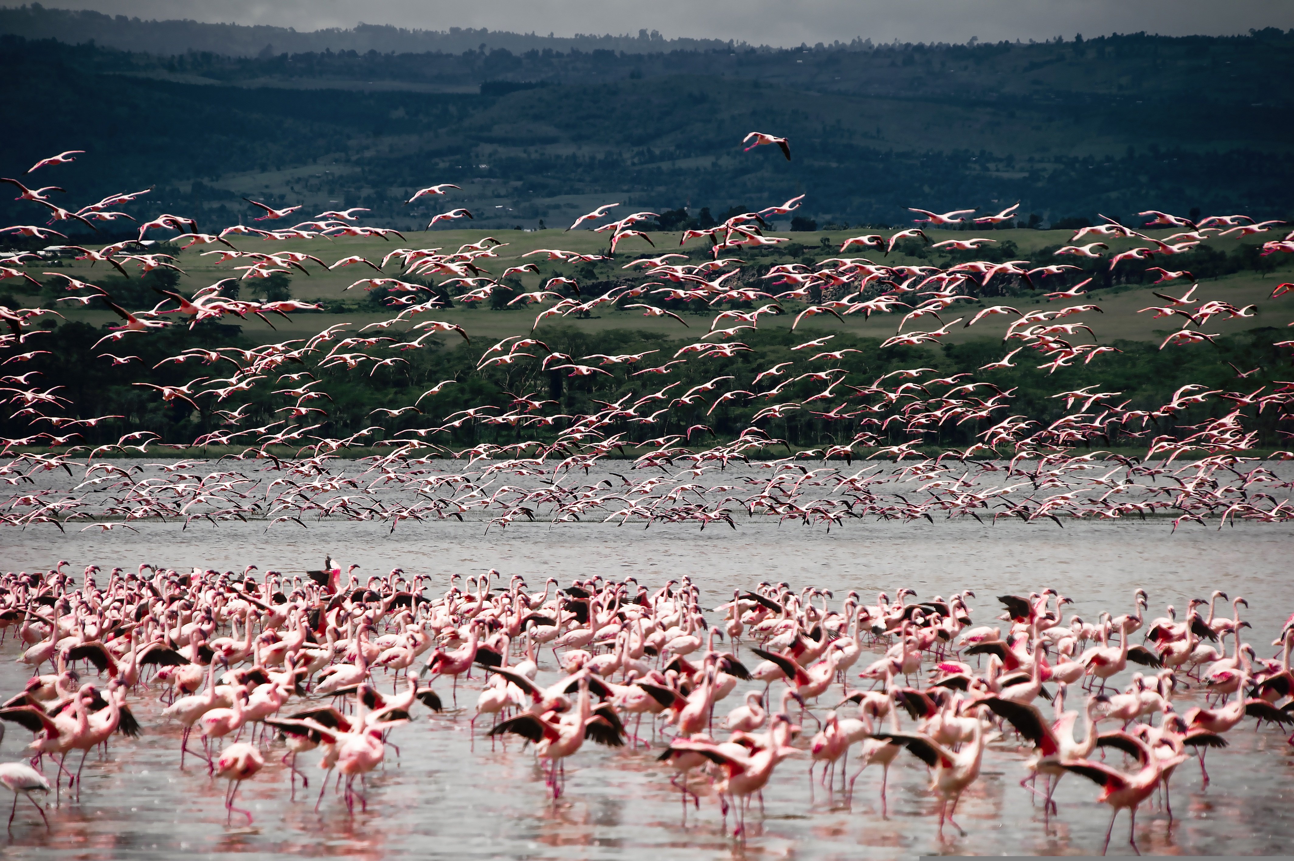 Bagaria Tours and Safaris