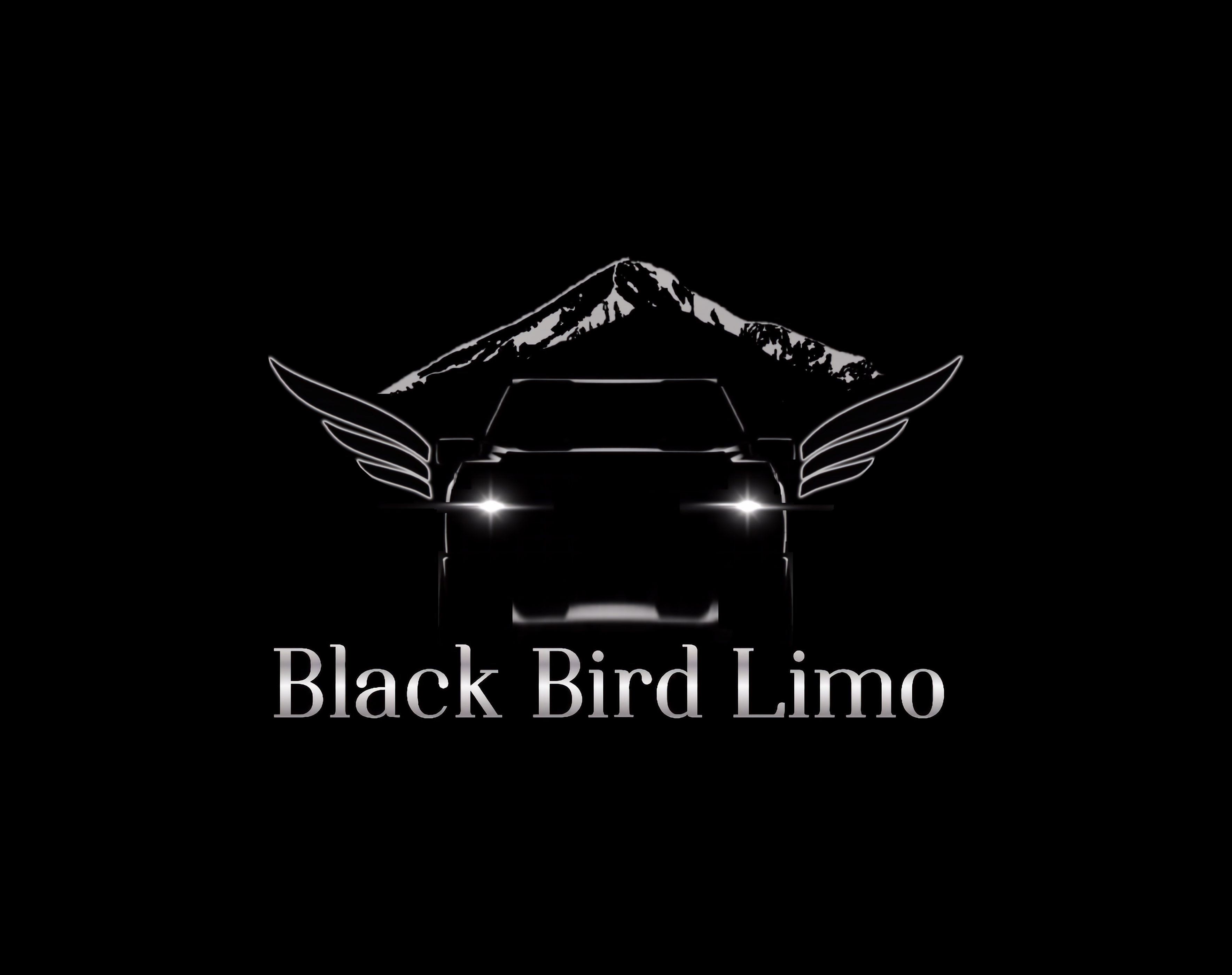 Black Bird Limousine