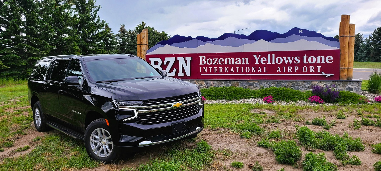 Black Bird Limousine