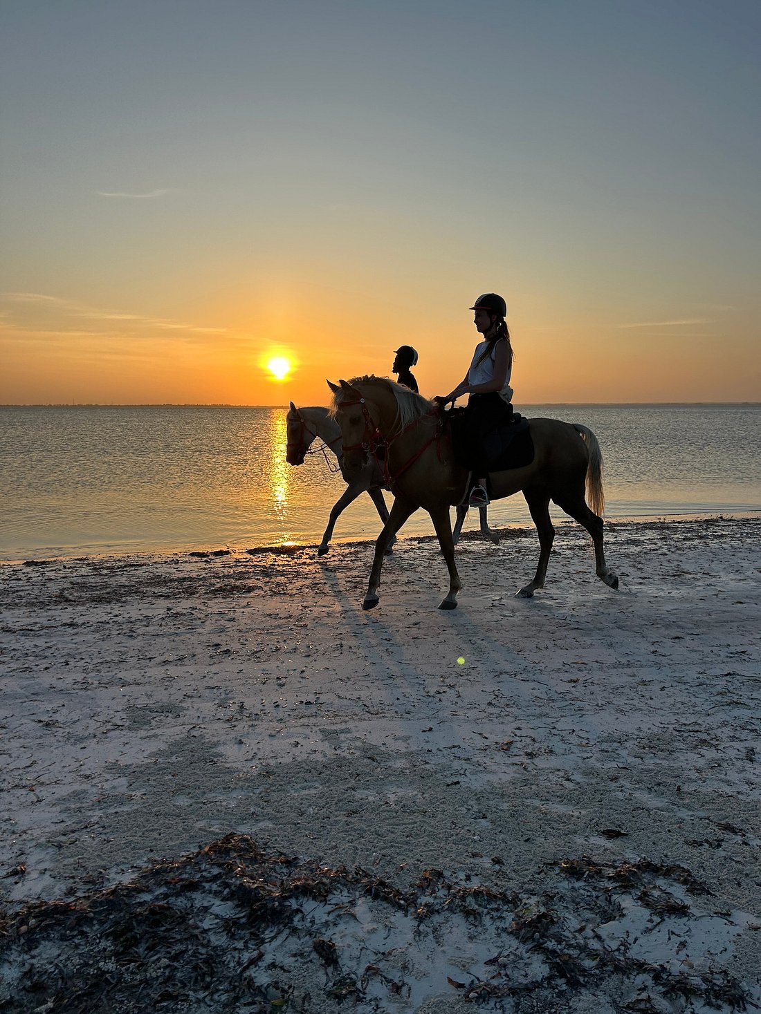 Royalstable_Zanzibar