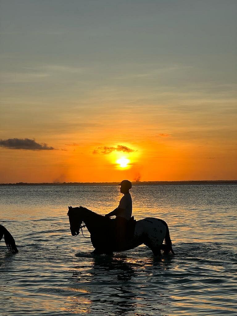 Royalstable_Zanzibar