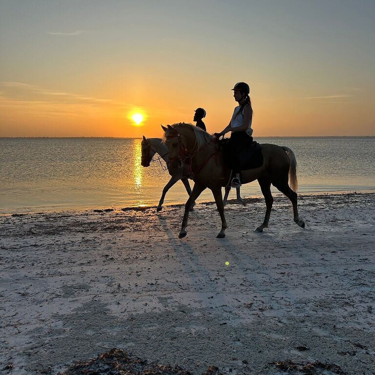 Royalstable_Zanzibar
