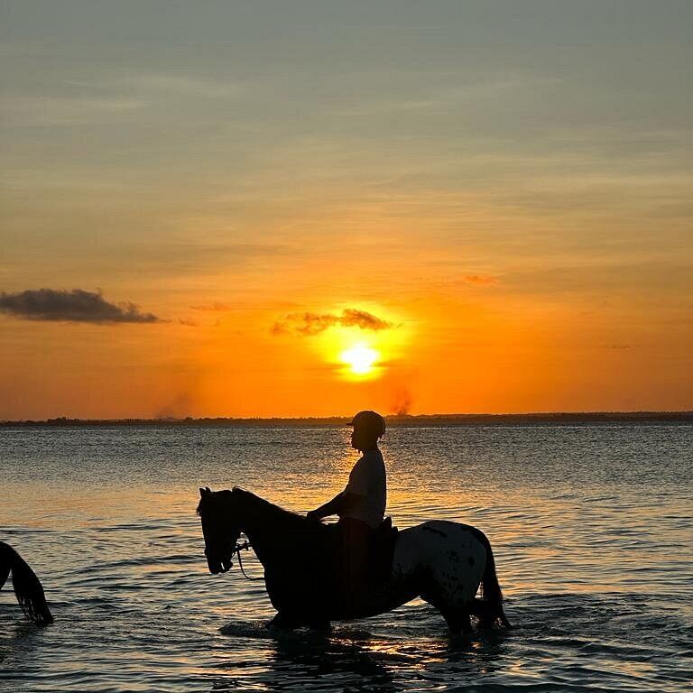 Royalstable_Zanzibar
