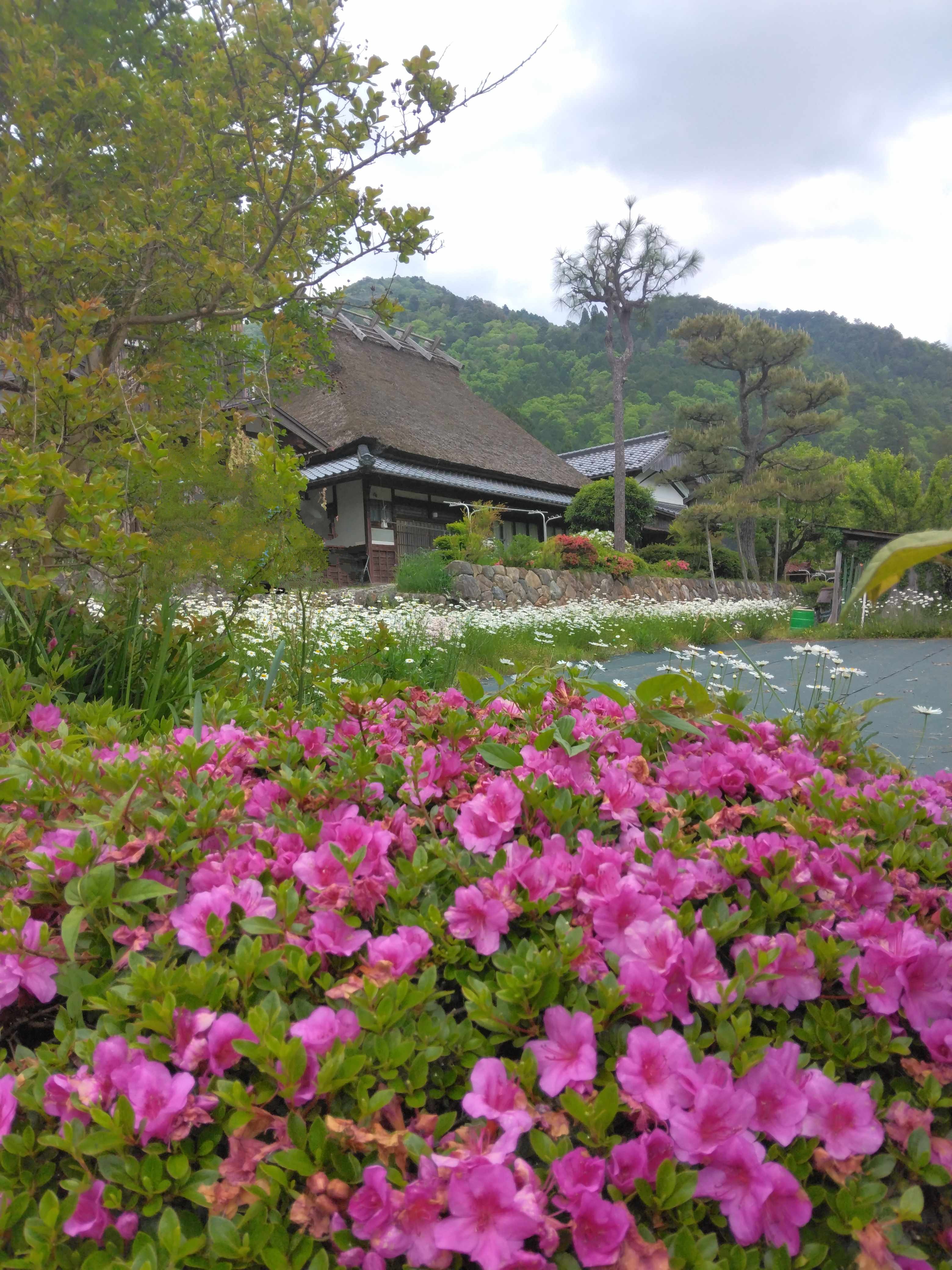 Kyoto Arashiyama hidden tour